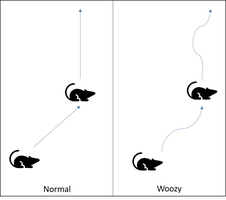 A line drawing of two mice walking similar paths, but one is curvy because that mouse is woozy.